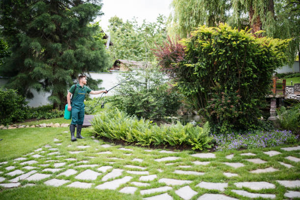 Best Pest Removal Services  in Lake Goodwin, WA
