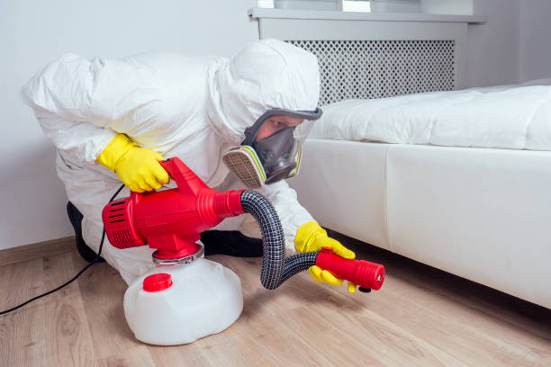 Best Pest Prevention Services  in Lake Goodwin, WA