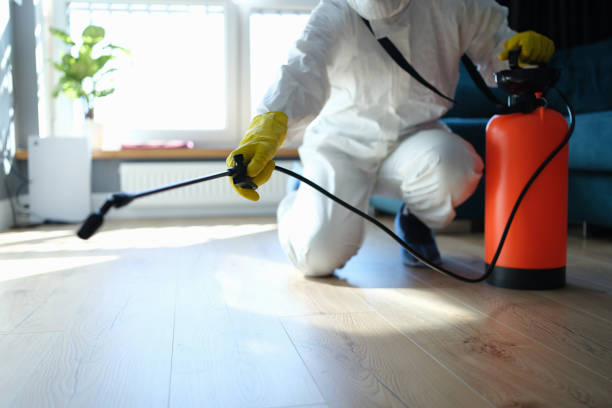 Best Flea Control Services  in Lake Goodwin, WA