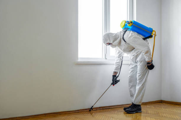 Best Insect Control  in Lake Goodwin, WA